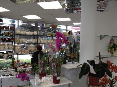Освещение цветочного магазина